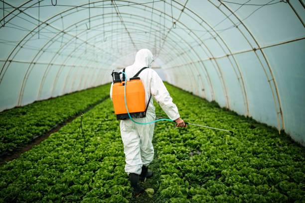 Best Pest Removal Services  in Costa Mesa, CA
