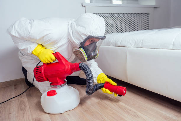 Best Flea Control Services  in Costa Mesa, CA