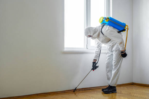 Wildlife Control Services in Costa Mesa, CA